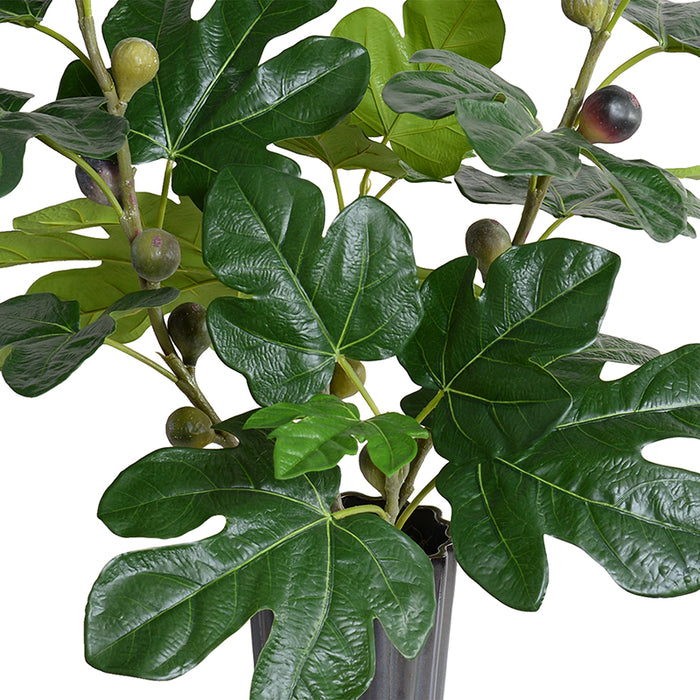Fig Branches w/ Fruits in Porcelain 36"H