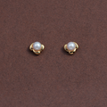 Freshwater White Pearl Stud