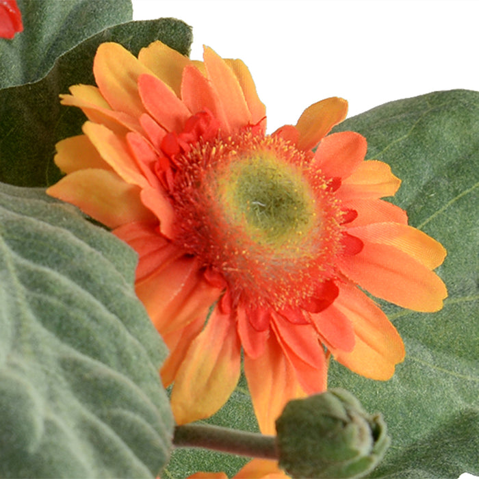 Gerbera Daisy 12"H