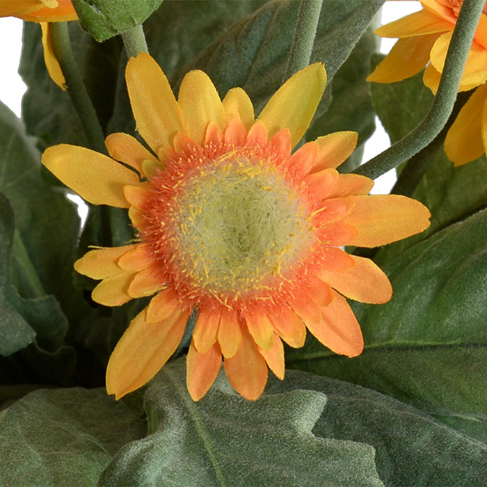 Gerbera Daisy 12"H