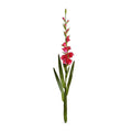 Gladiolus Flower Stem, 48" L - Fuchsia - New Growth Designs