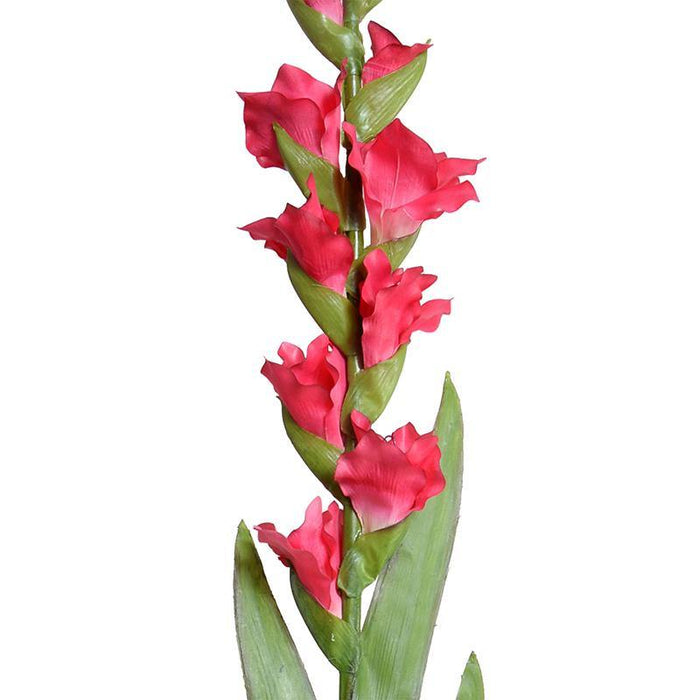 Gladiolus Flower Stem, 48" L - Fuchsia - New Growth Designs