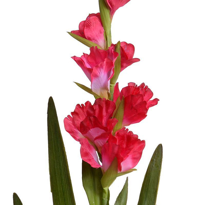 Gladiolus Flower Stem, 48" L - Fuchsia - New Growth Designs