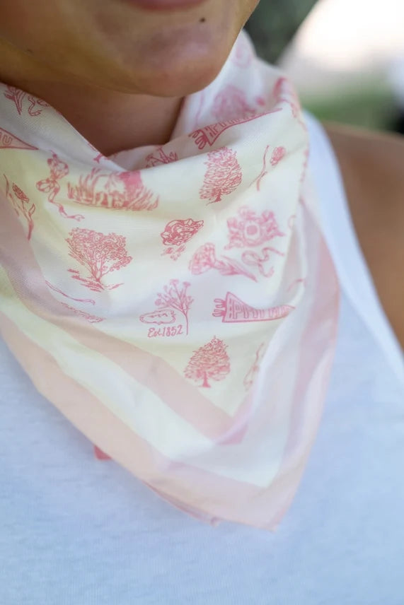 Greek Toile Silk Scarve- Delta Zeta