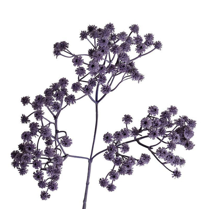 Gypsophila Spray, 25.5"L - New Growth Designs