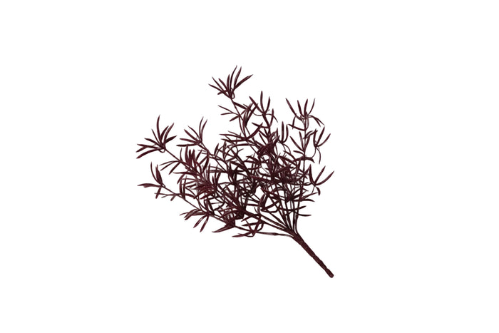 Herb Grass Bush 18H"