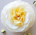 Hope Garden Soap Flower - Mildred Hoit