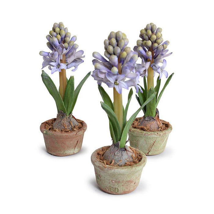 Hyacinth Mini Pot - Blue - New Growth Designs