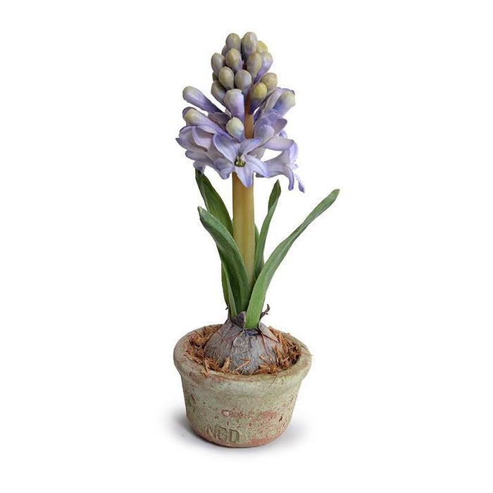 Hyacinth Mini Pot - Blue - New Growth Designs