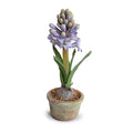 Hyacinth Mini Pot - Blue - New Growth Designs