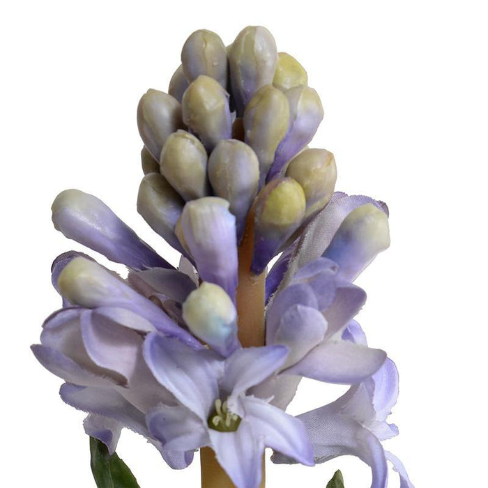 Hyacinth Mini Pot - Blue - New Growth Designs