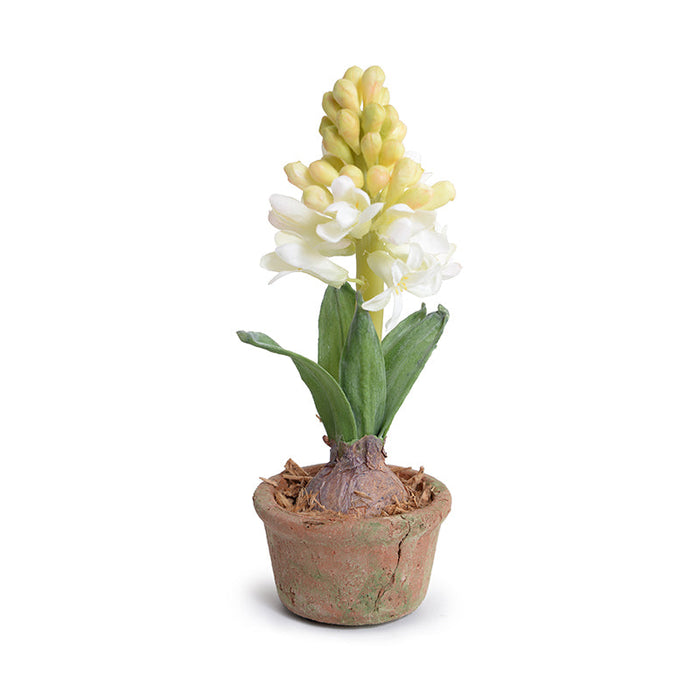 Hyacinth Mini-Pot 9"H