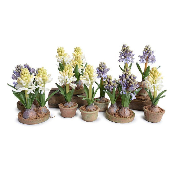 Hyacinth Mini Pot - Blue - New Growth Designs