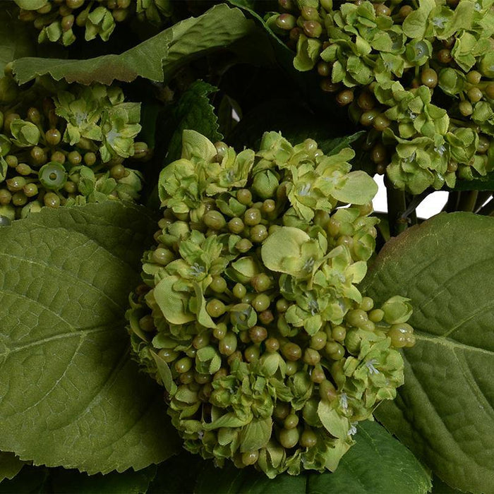 Hydrangea Bud Bouquet - Green - New Growth Designs