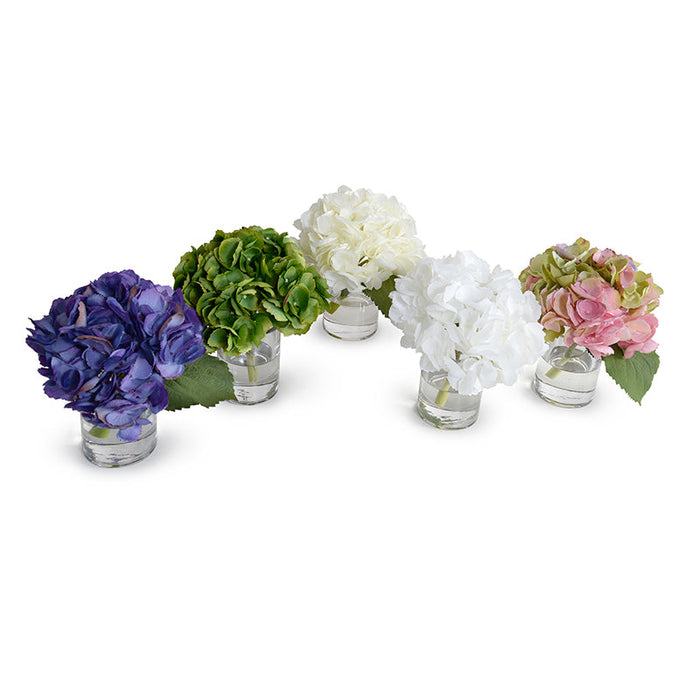 Hydrangea Cutting w/ Leaf in Glass 8"H