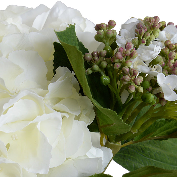 Hydrangea Cutting w/Bud in Glass 9"H