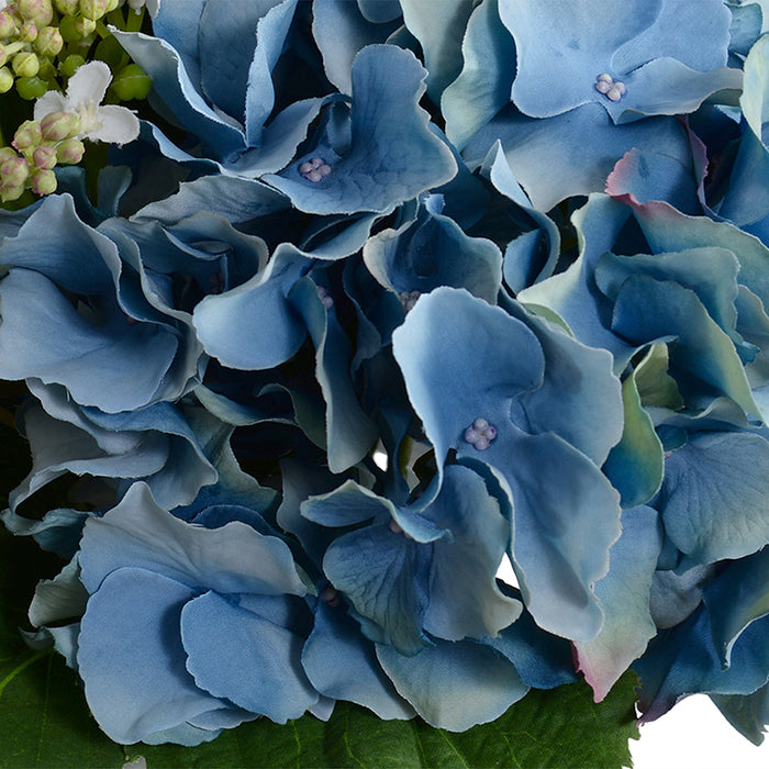 Hydrangea Cutting w/Bud in Glass 9"H