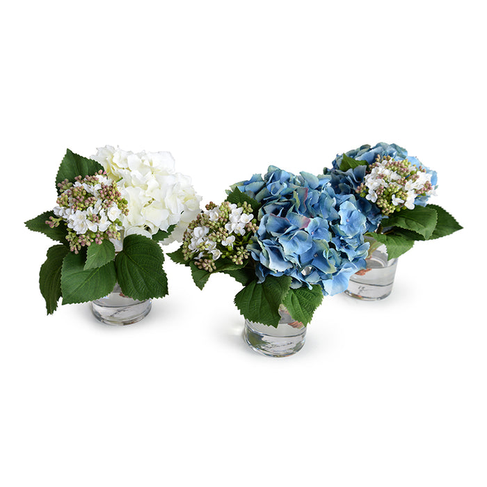 Hydrangea Cutting w/Bud in Glass 9"H