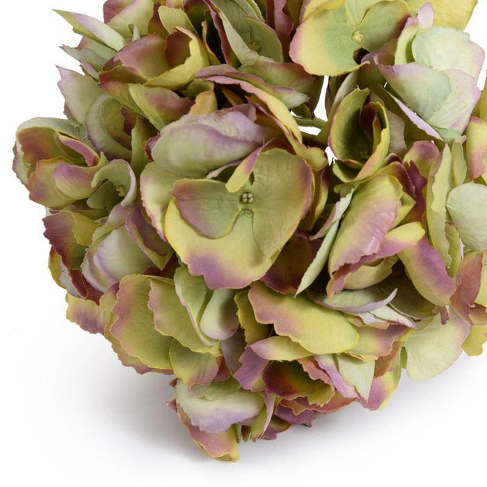 Hydrangea Stem, 19" L - Green Brown - New Growth Designs