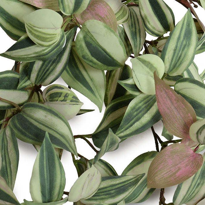 Inch Plant Vine 12"L