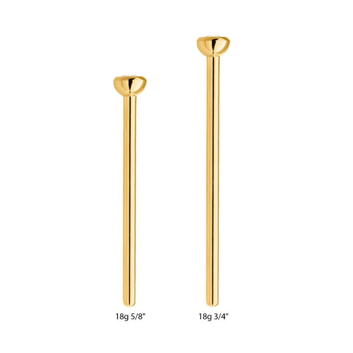Invictus 24Kt Gold PVD Titanium Bezel Set CZ Nose Pin