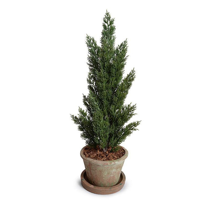 Cone-shaped Italian Cypress in Rustic Terracotta, 22" - New Growth Designs