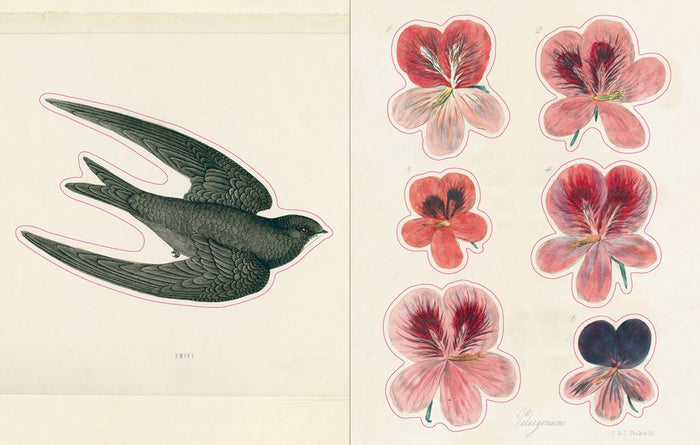 John Derian Sticker Book I