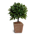 Wholesale Artificial Laurel Leaf Topiary in Rustic Terracotta for Indoor Decor - New Growth Designs