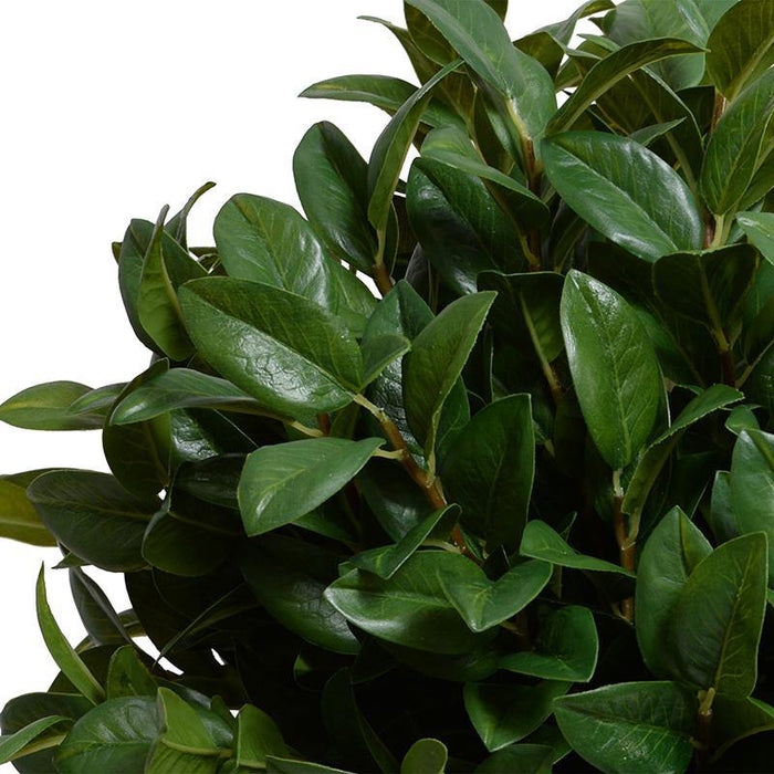 Laurel Leaf Topiary in Rustic Terracotta - New Growth Designs