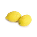 Realistic Artificial Lemons Wholesale - New Growth Designs
