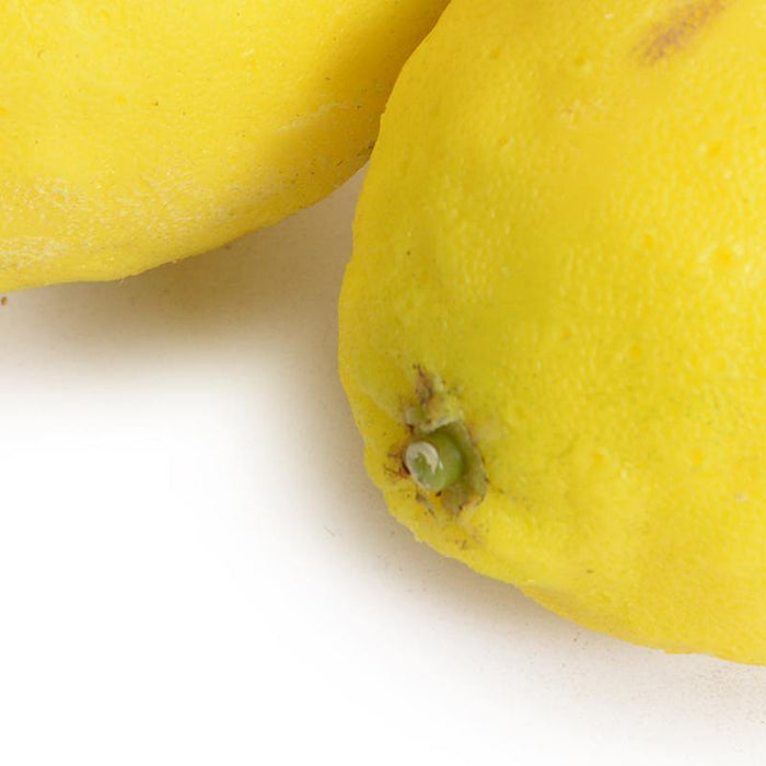 Lemon - New Growth Designs
