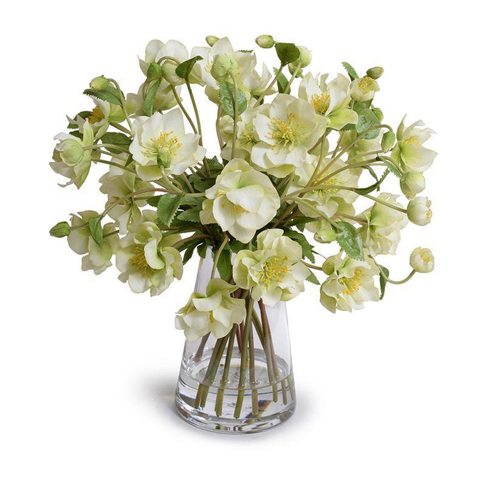 Hellebore (Lenten Rose) - New Growth Designs