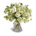 Hellebore (Lenten Rose) - New Growth Designs