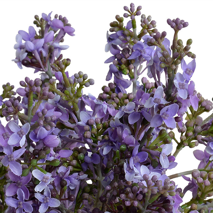 Lilac Sprays in Glass