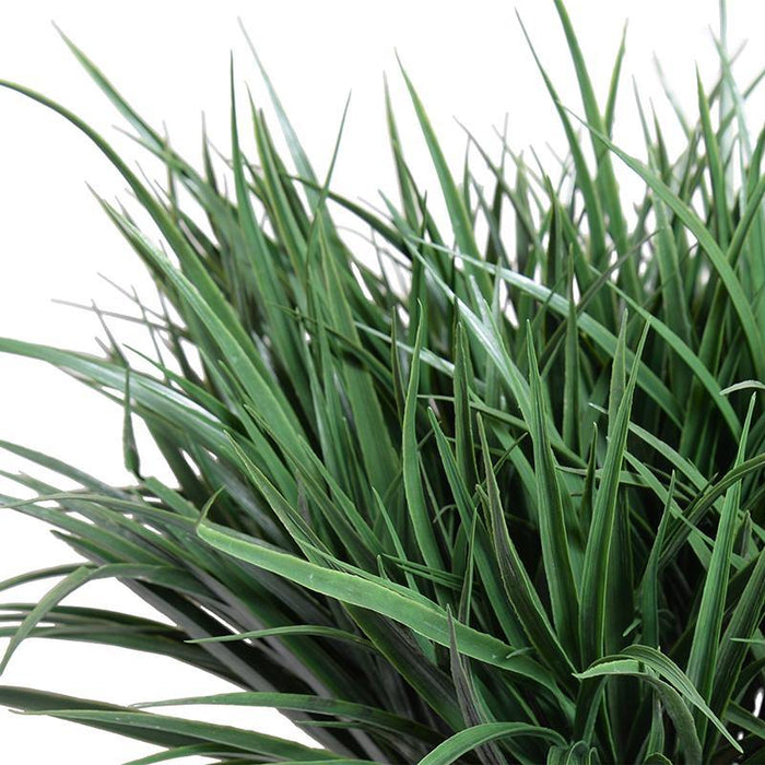 Liriope Grass - Green - New Growth Designs
