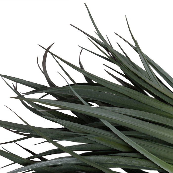 Liriope Grass Spray 16"