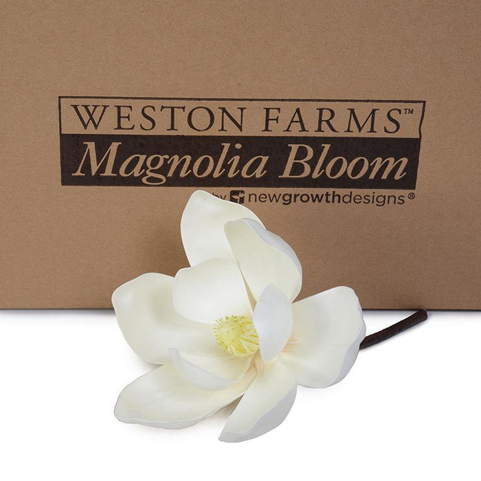 Magnolia Bloom, 5" D - Weston Farms - New Growth Designs