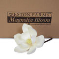 Magnolia Bloom, 5" D - Weston Farms - New Growth Designs