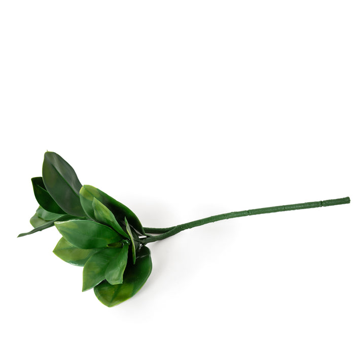 Magnolia Branch 27"L