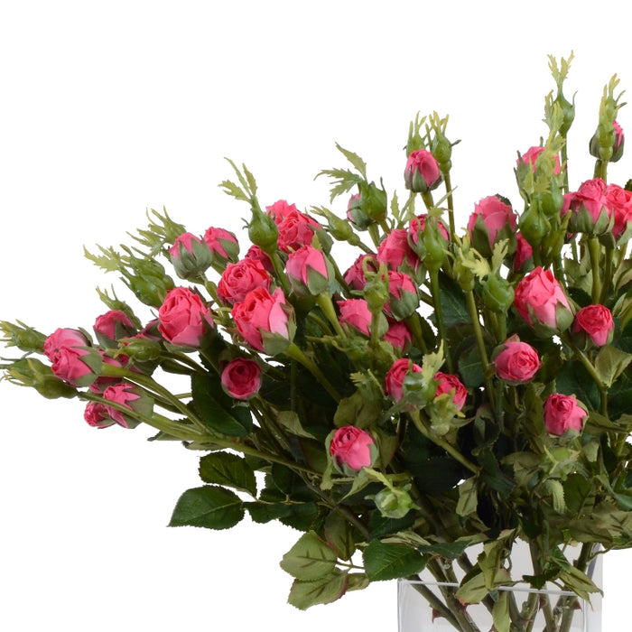 Mini-Rose Bud Spray - Hot Pink 16"H