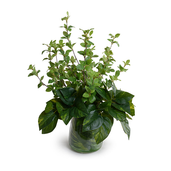 Mixed Greenery in Glass 22"H