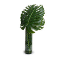 Large Monstera Leaf in Glass Cylinder - New Growth Designs