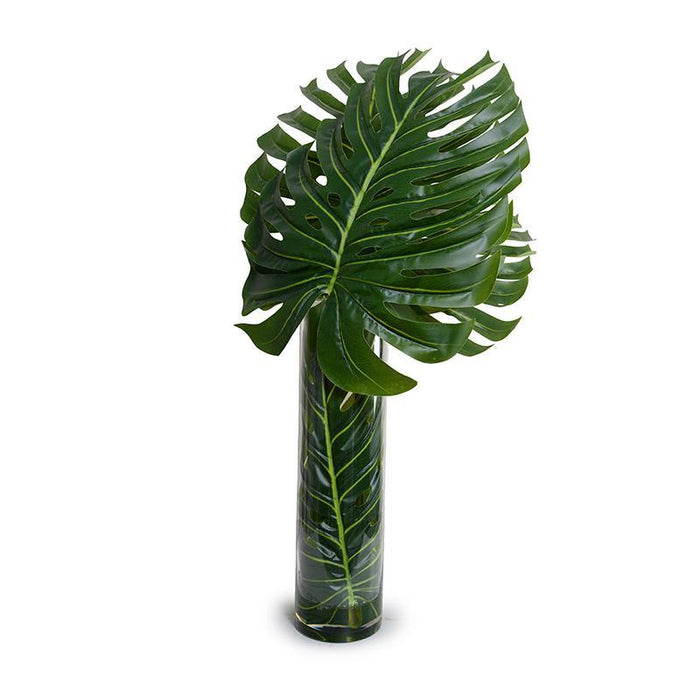 Large Monstera Leaf in Glass Cylinder - New Growth Designs