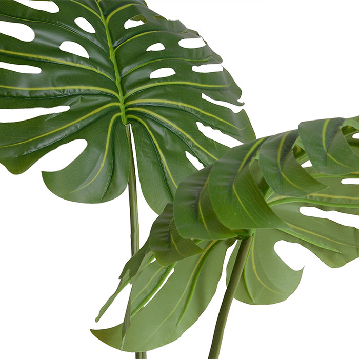 Monstera Leaves in Glass 44"H