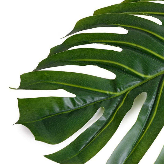 Large Monstera Branches in Glass Cylinder - New Growth Designs