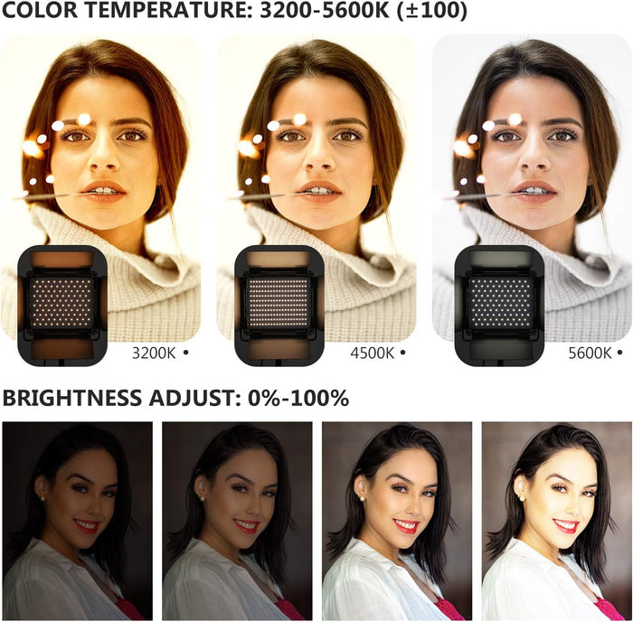 NEEWER 2-Pack P200 Bi-Color 2.4G LED Video Light