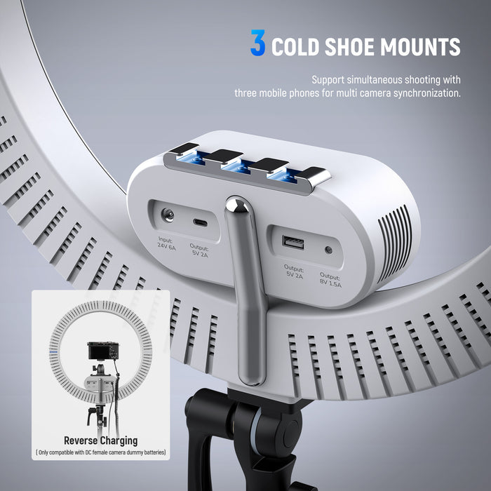 NEEWER RH100B LED Ring Light supports simultaneous shooting.