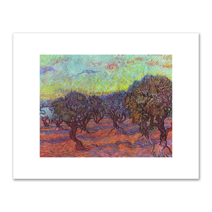 Vincent van Gogh, Olive Grove, Saint-RÃ©my, November 1889, GÃ¶teborgs Konstmuseum, Sweden. Fine Art Prints in various sizes by Museums.Co