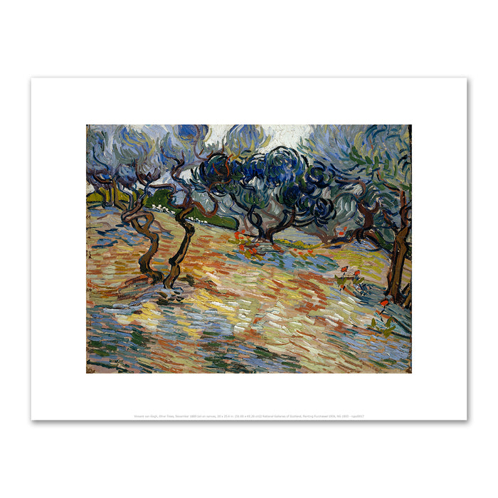 Vincent van Gogh, Olive Trees, November 1889, National Galleries of Scotland. Fine Art Prints in various sizes by Museums.Co
