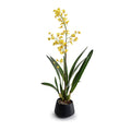 High-Quality Wholesale Artificial Oncidium Orchid Plant Bright Yellow in Black Porcelain Vase Indoor 32 Inches Tall - New Growth Designs